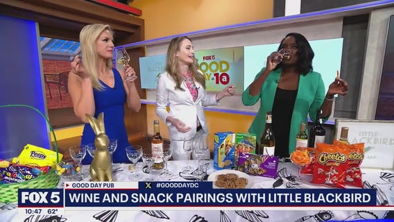 Wine and Snack Pairings with Little Blackbird