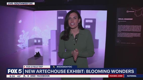 New Artechouse DC exhibit: Blooming Wonders
