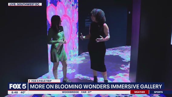Artechouse DC presents 'Blooming Wonders: A Best-of-Spring Exhibition'