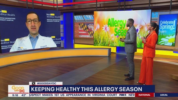 Navigating spring allergy season
