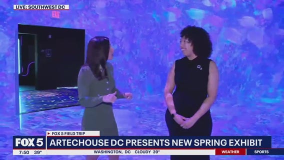 Artechouse DC presents new spring exhibit