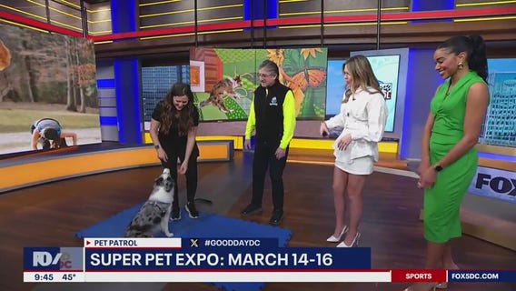 Super Pet Expo returns this weekend