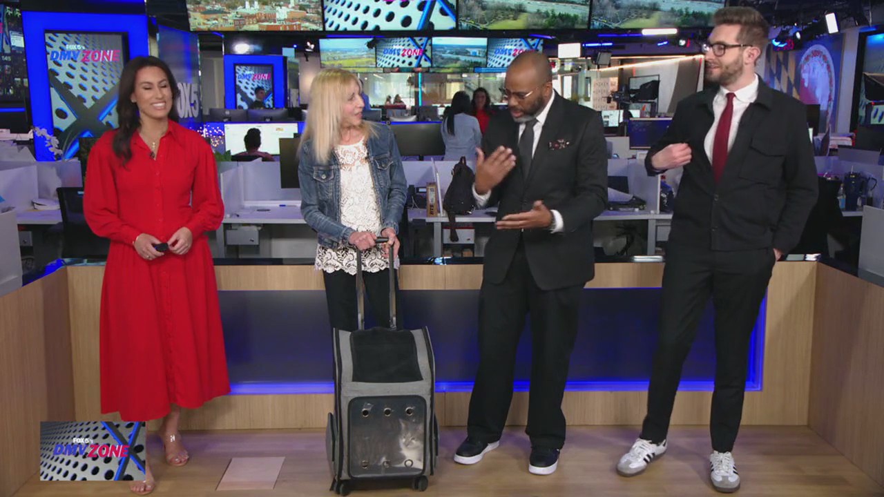 DMV ZONE'S TAKE HOME THURSDAY! | MEET RAIN & PIPPIN!