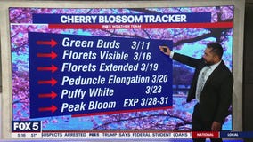 Monday morning showers, afternoon sunshine