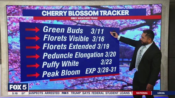 Monday morning showers, afternoon sunshine