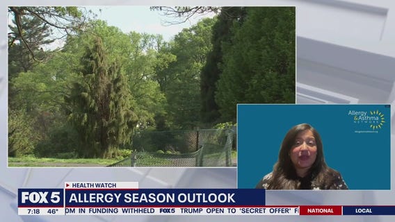 Tips to Ease Spring Allergies