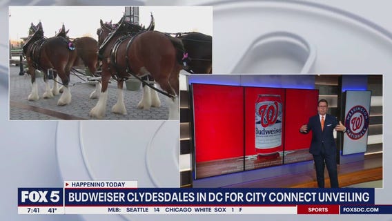 Budweiser Clydesdales and a City Connect Unveiling ahead of Opening Day