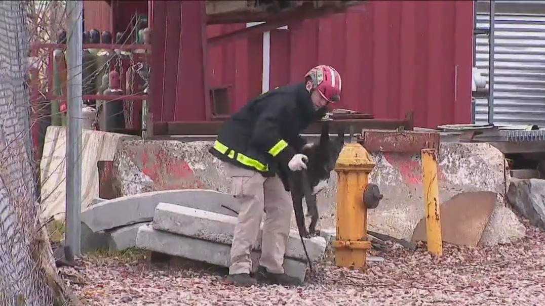 FDNY drones and dogs demonstration | FOX 5 New York