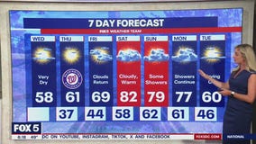 DC weather: Temps near 80 degrees Saturday as cherry blossoms near peak bloom