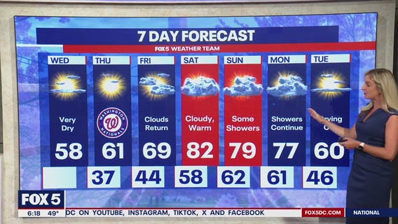 DC weather: Temps near 80 degrees Saturday as cherry blossoms near peak bloom