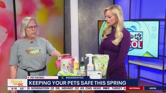 Keeping your pets safe this spring