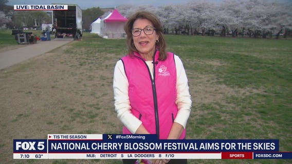 Weekend Fun at the National Cherry Blossom Festival
