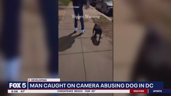 Camera captures brutal attack on dog on DC street