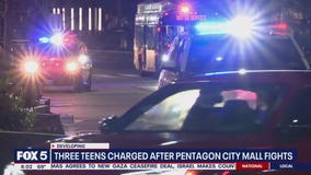 3 teens charged after Pentagon City Mall fights