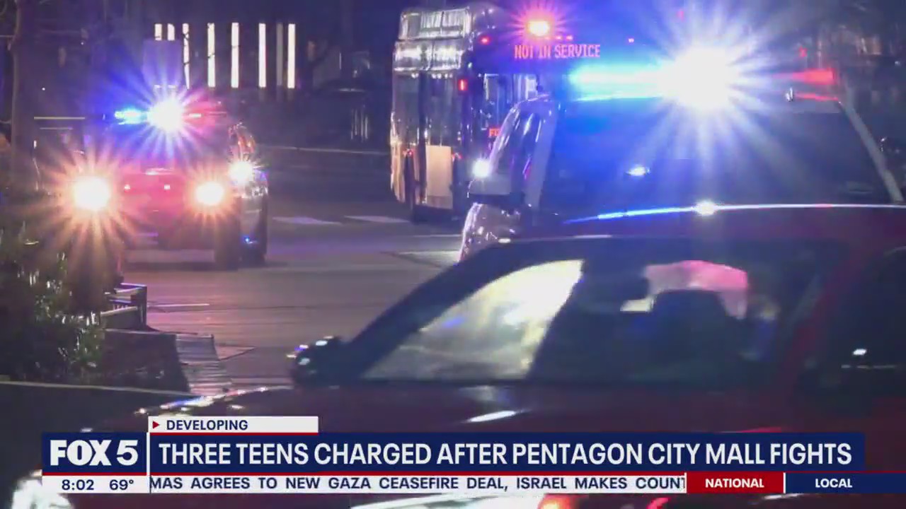 3 teens charged after Pentagon City Mall fights