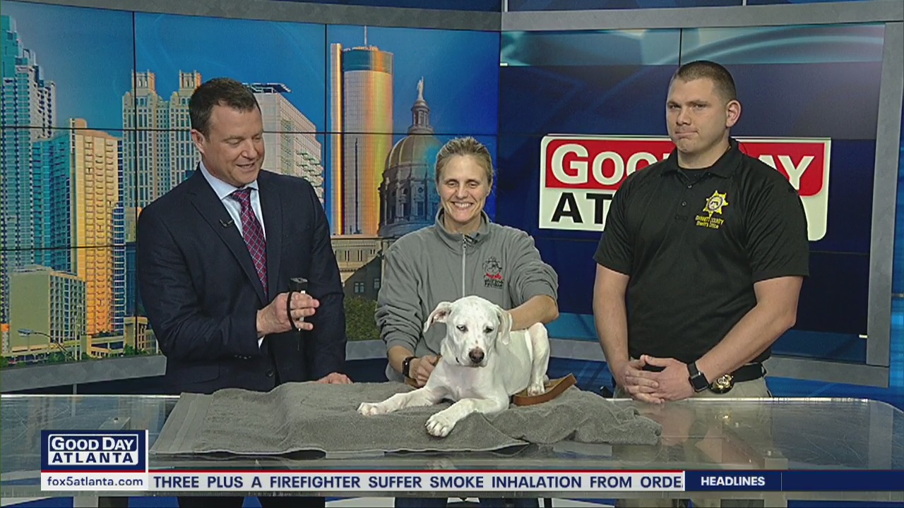 Pet of the Day: January 17, 2020