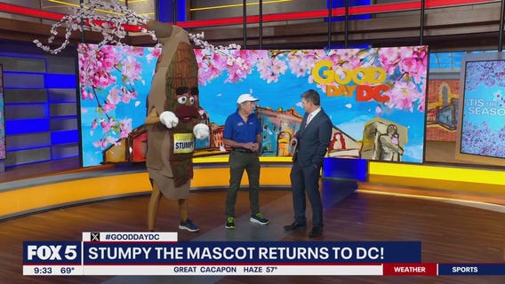 Credit Union Cherry Blossom: 5k and 10 mile race this weekend!