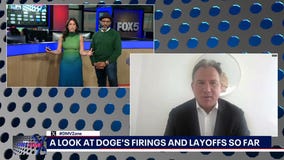 A look at DOGE firings of probationary workers