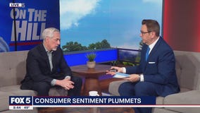 Consumer sentiment plummets