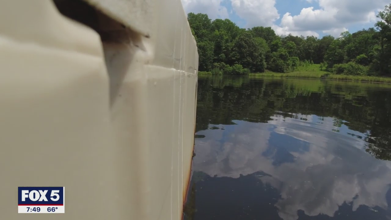 FOX 5 Zip Trip La Plata: 5 Must Stops!