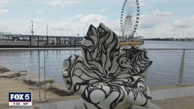 FOX 5 Zip Trip Finale National Harbor: 5 Must Stops!