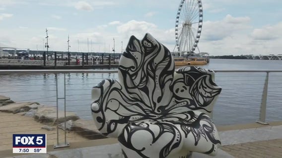 FOX 5 Zip Trip Finale National Harbor: 5 Must Stops!