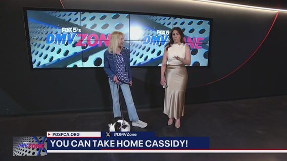 FOX 5's DMV Zone Take Home Thursday | Take Home Cassidy!