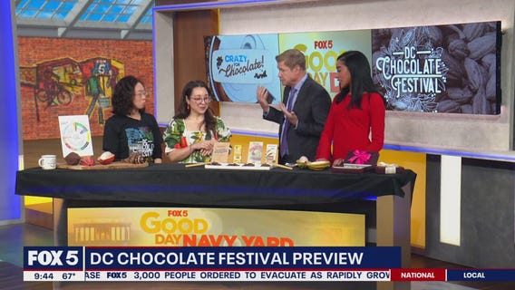 DC Chocolate Festival preview