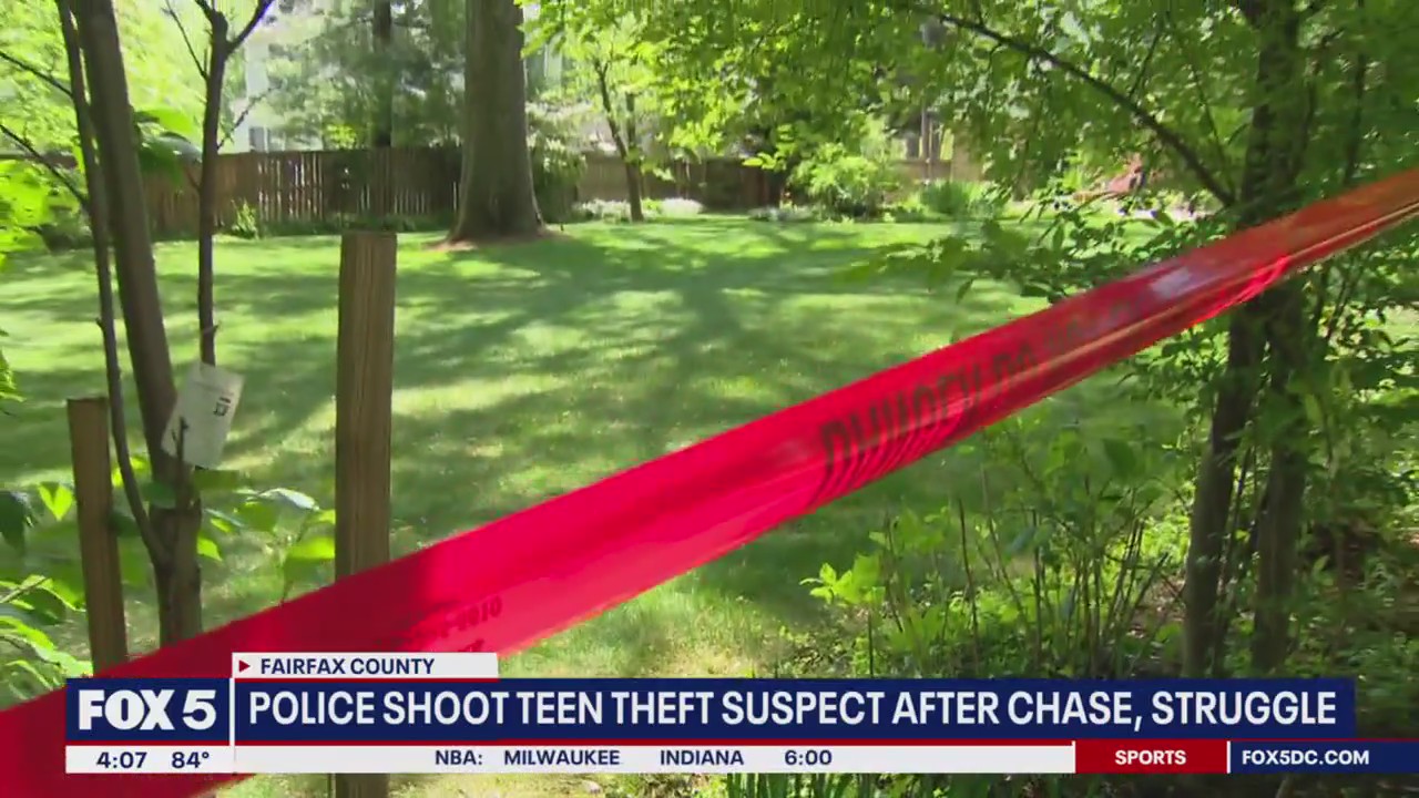 Police shoot teen theft suspect after chase