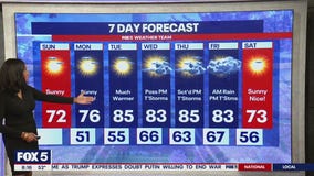 Sunshine and windy conditions across DC Region