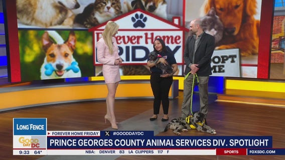 Forever Home Friday with Prince Georges County Animal Services Division