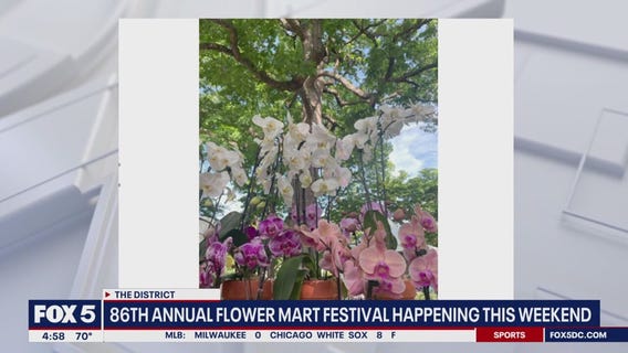Washington National Cathedral hosts 86th annual Flower Mart this weekend