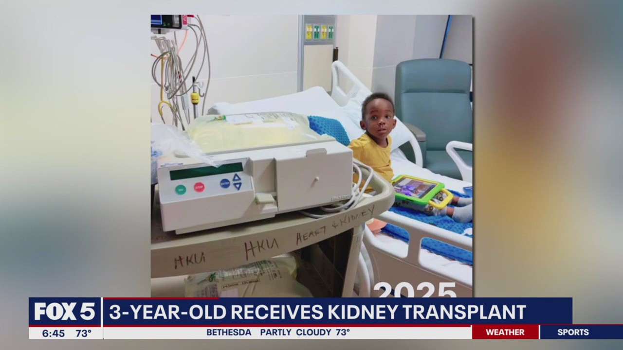 3-year-old receives kidney transplant