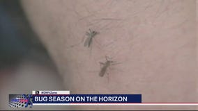 Warm weather welcomes more bugs