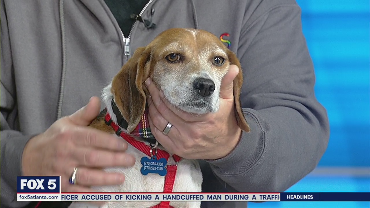 Pet of the Day: February 20, 2020