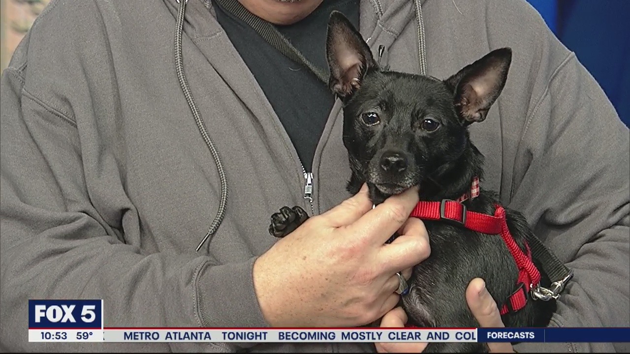 Pet of the Day: February 13, 2020