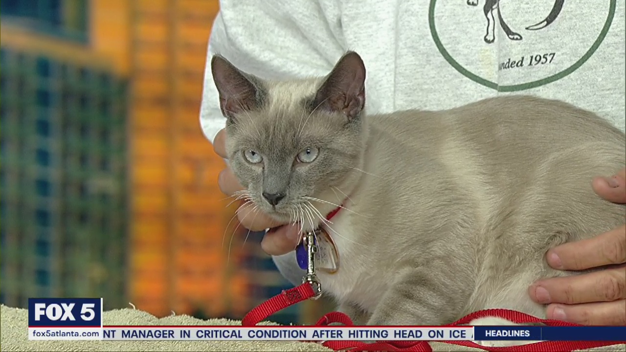 Pet of the Day: February 17, 2020