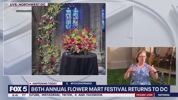 Exploring the All Hallows Guild?s Flower Mart