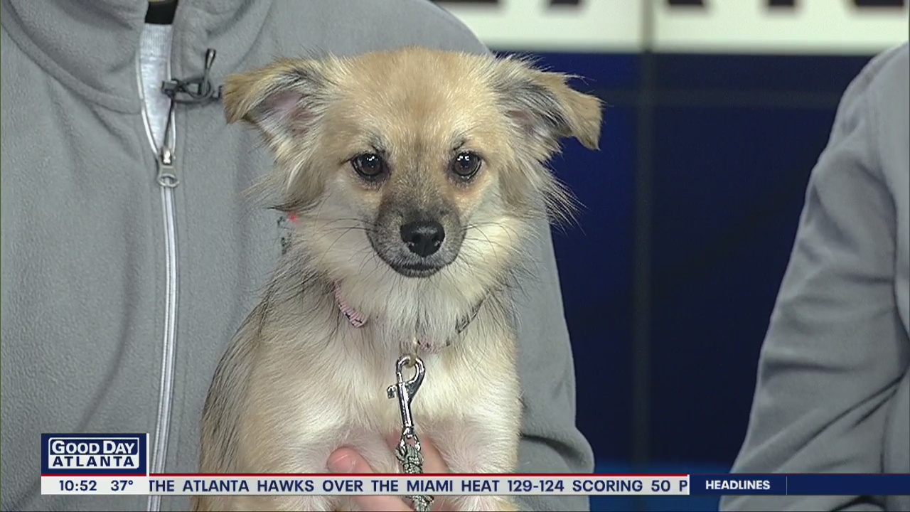 Pet of the Day: February 21, 2020