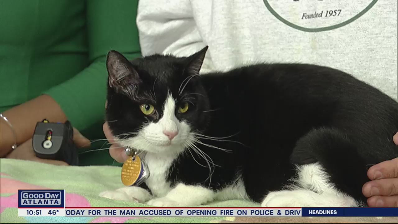 Pet of the Day: February 24, 2020