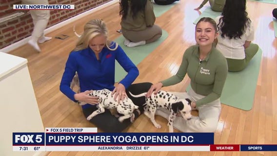 Puppy Sphere Yoga opens in DC