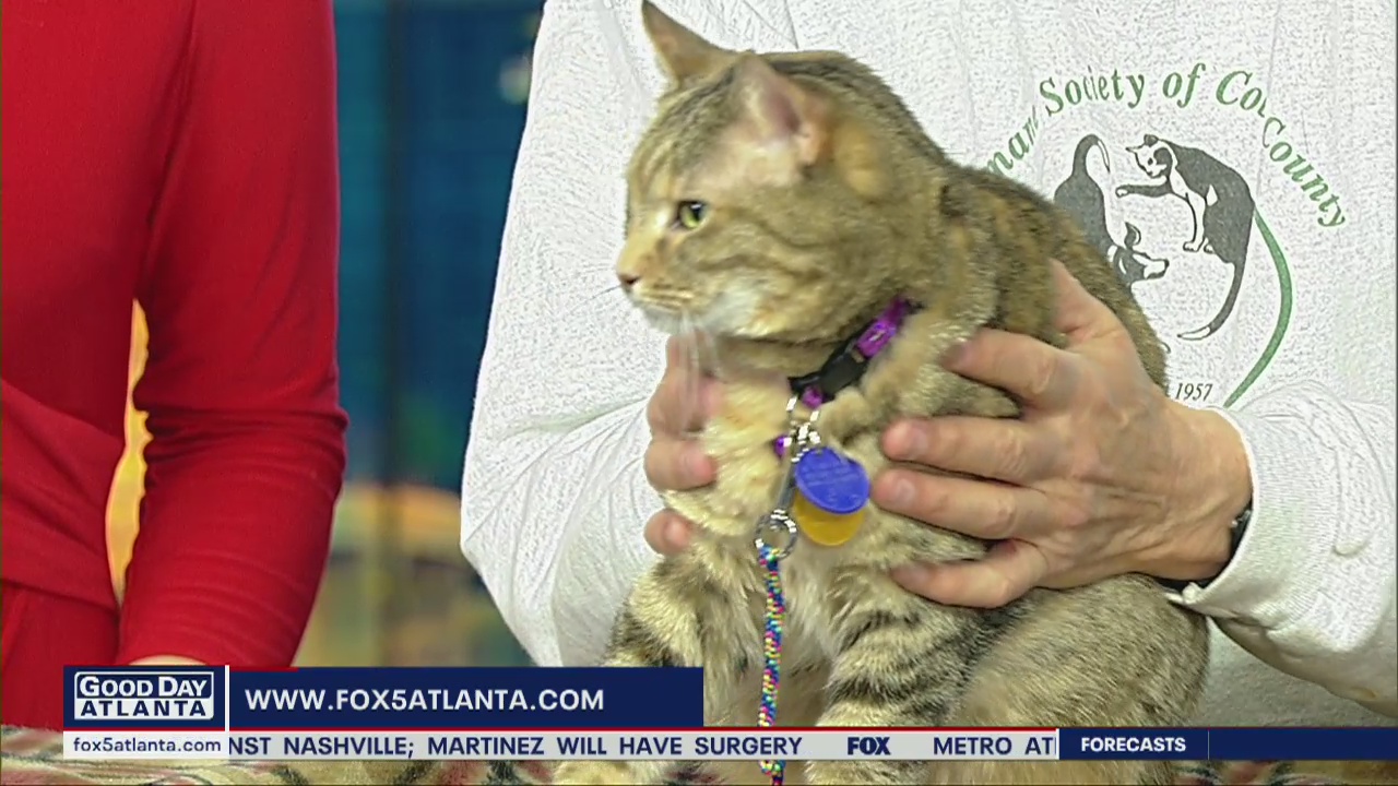 Pet of the Day: March 2, 2020