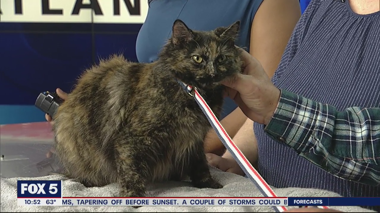 Pet of the Day: March 3, 2020