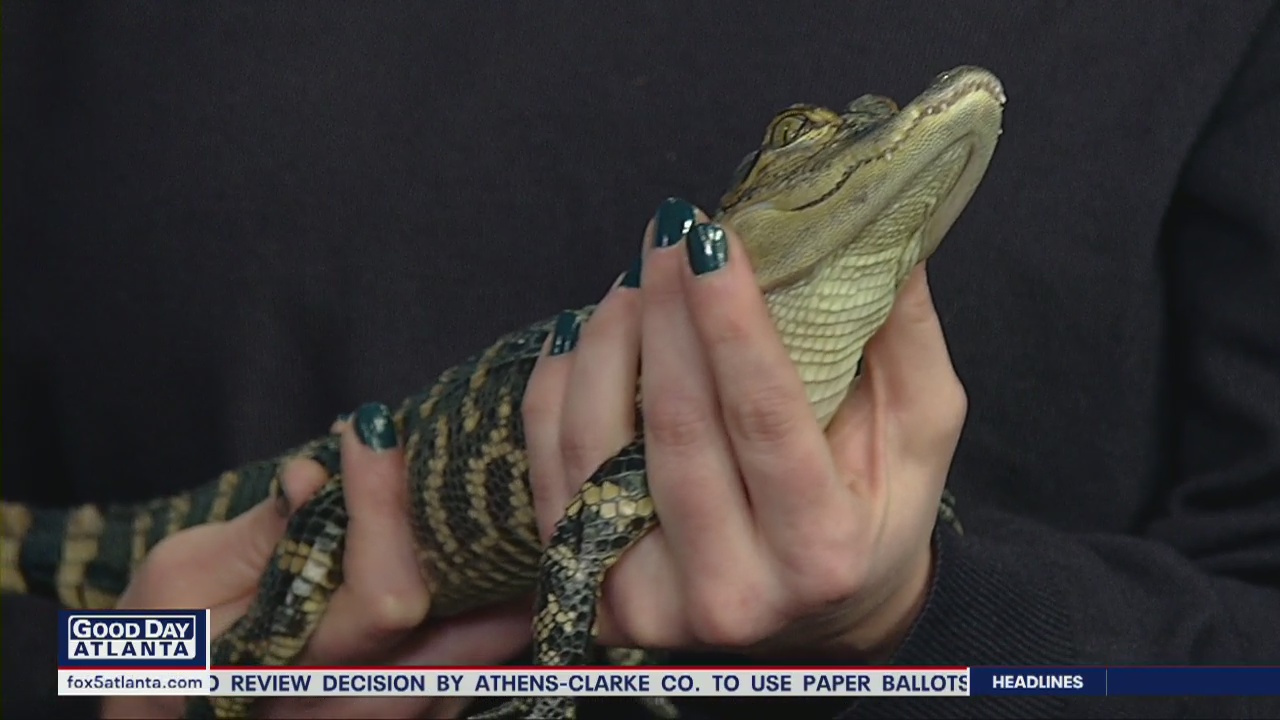 Pet of the Day: March 6, 2020