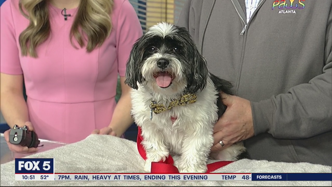 Pet of the Day: March 5, 2020