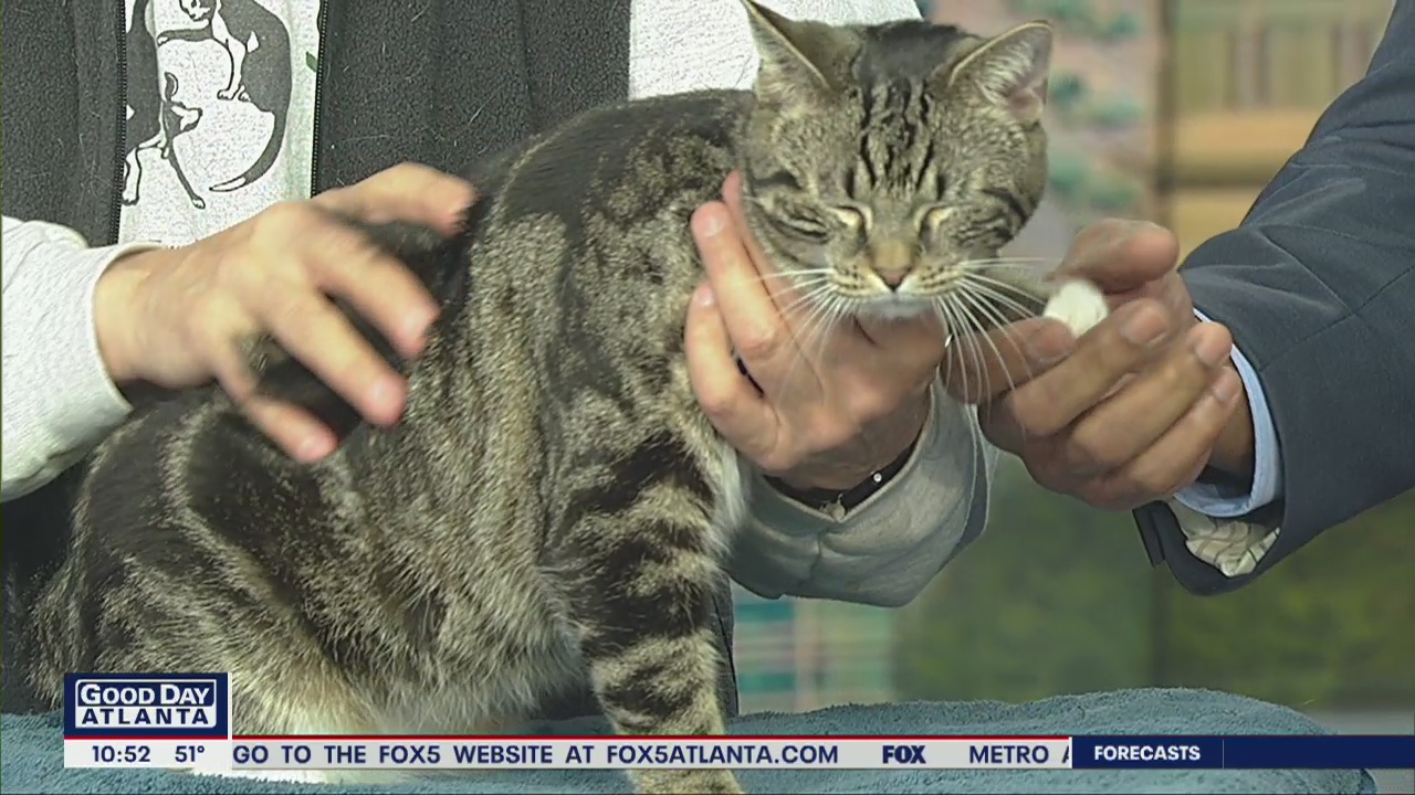 Pet of the Day: March 3, 2020
