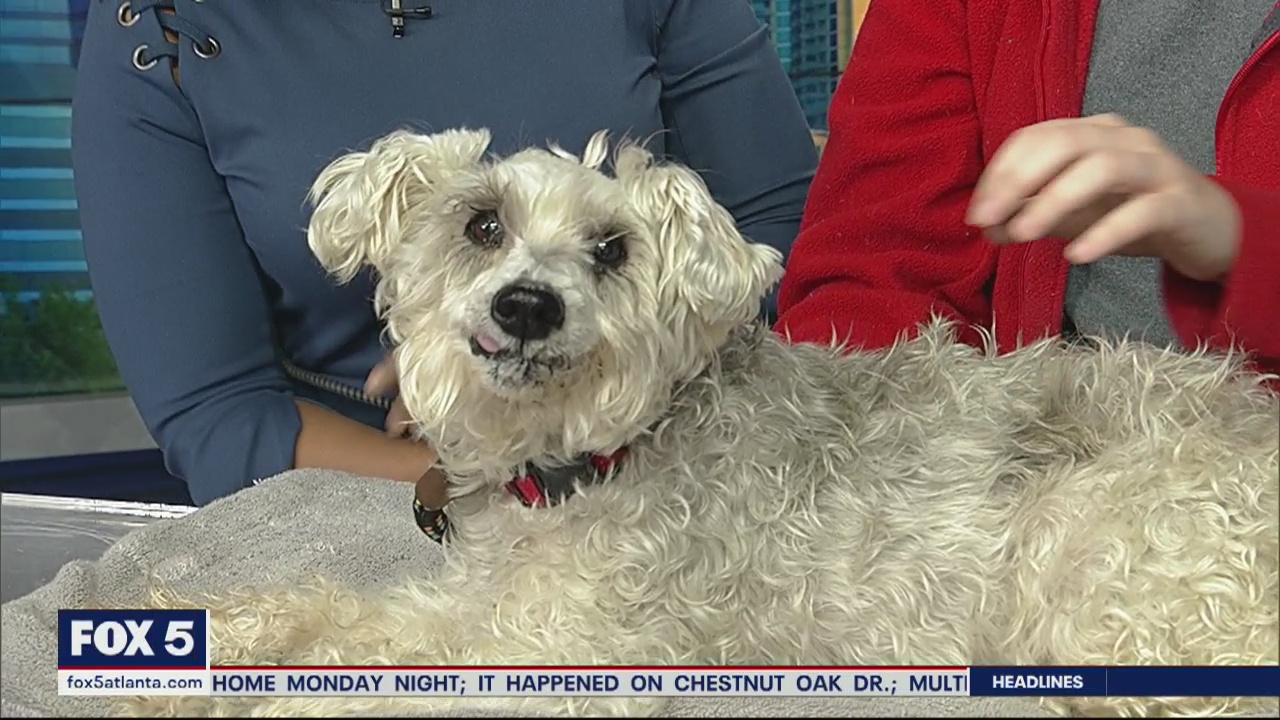 Pet of the Day: March 10, 2020