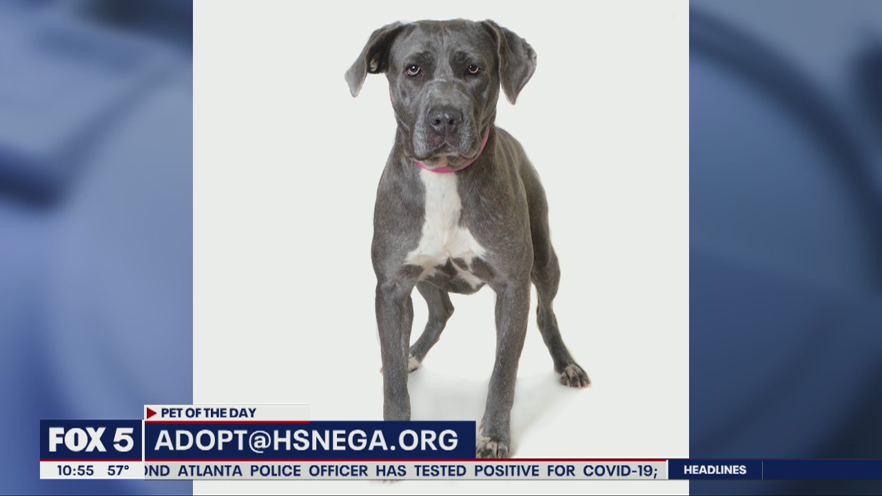 Pet of the Day: March 26, 2020