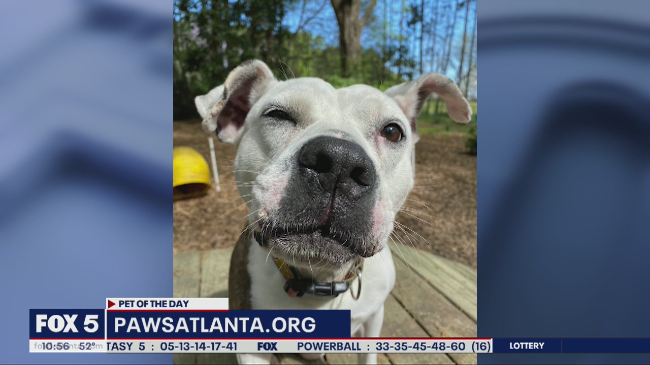 Pet of the Day: April 2, 2020