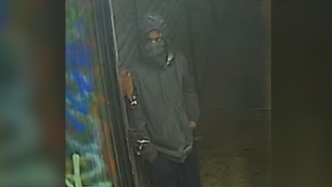 Search for suspect in multiple NYC stabbings